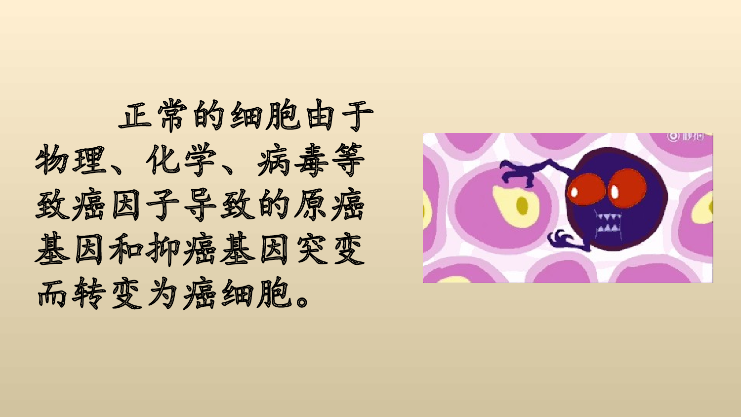 链接9癌细胞.ppt 第2页