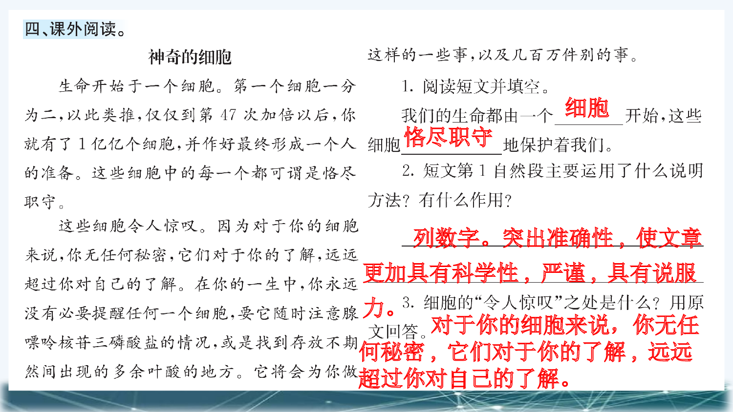 7 纳米技术就在我们身边（课课练）.pptx 第5页