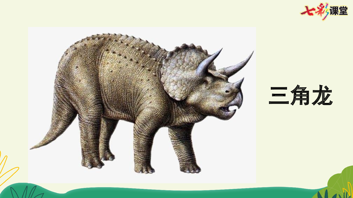 6 飞向蓝天的恐龙【优质版】.pptx 第7页