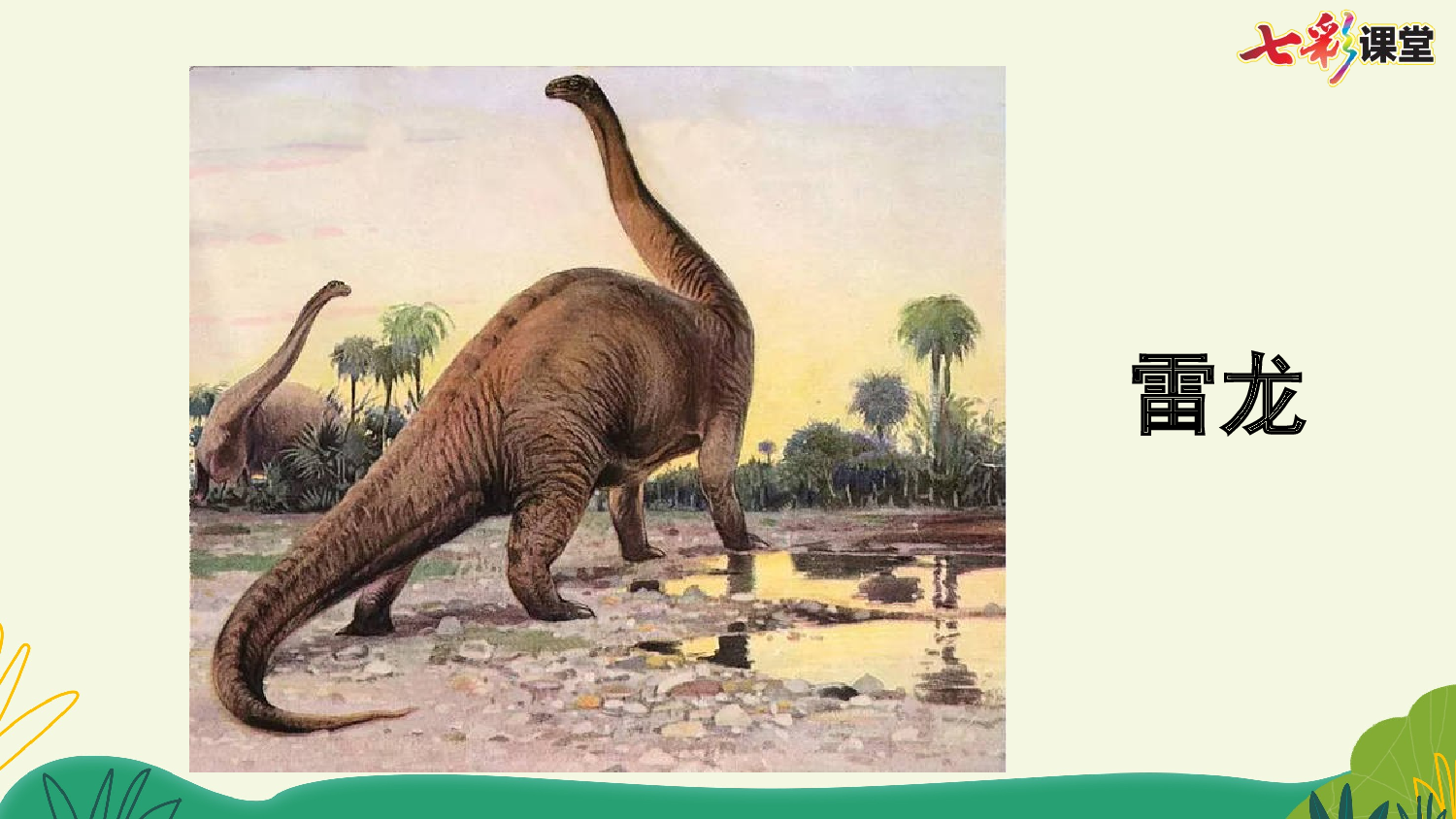 6 飞向蓝天的恐龙【优质版】.pptx 第6页