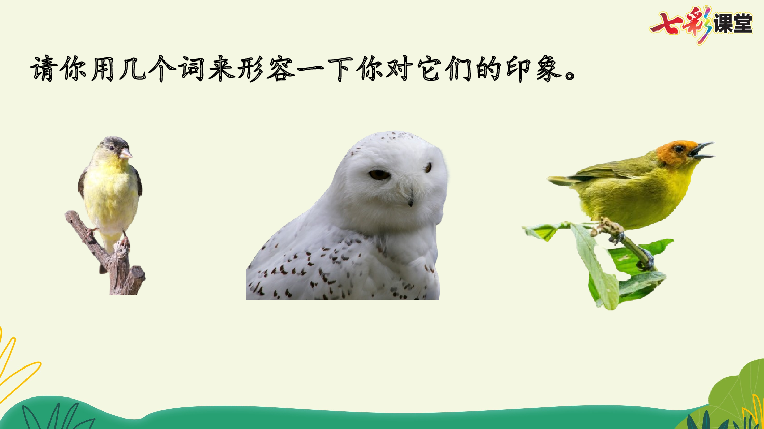 6 飞向蓝天的恐龙【精华版】.pptx 第5页