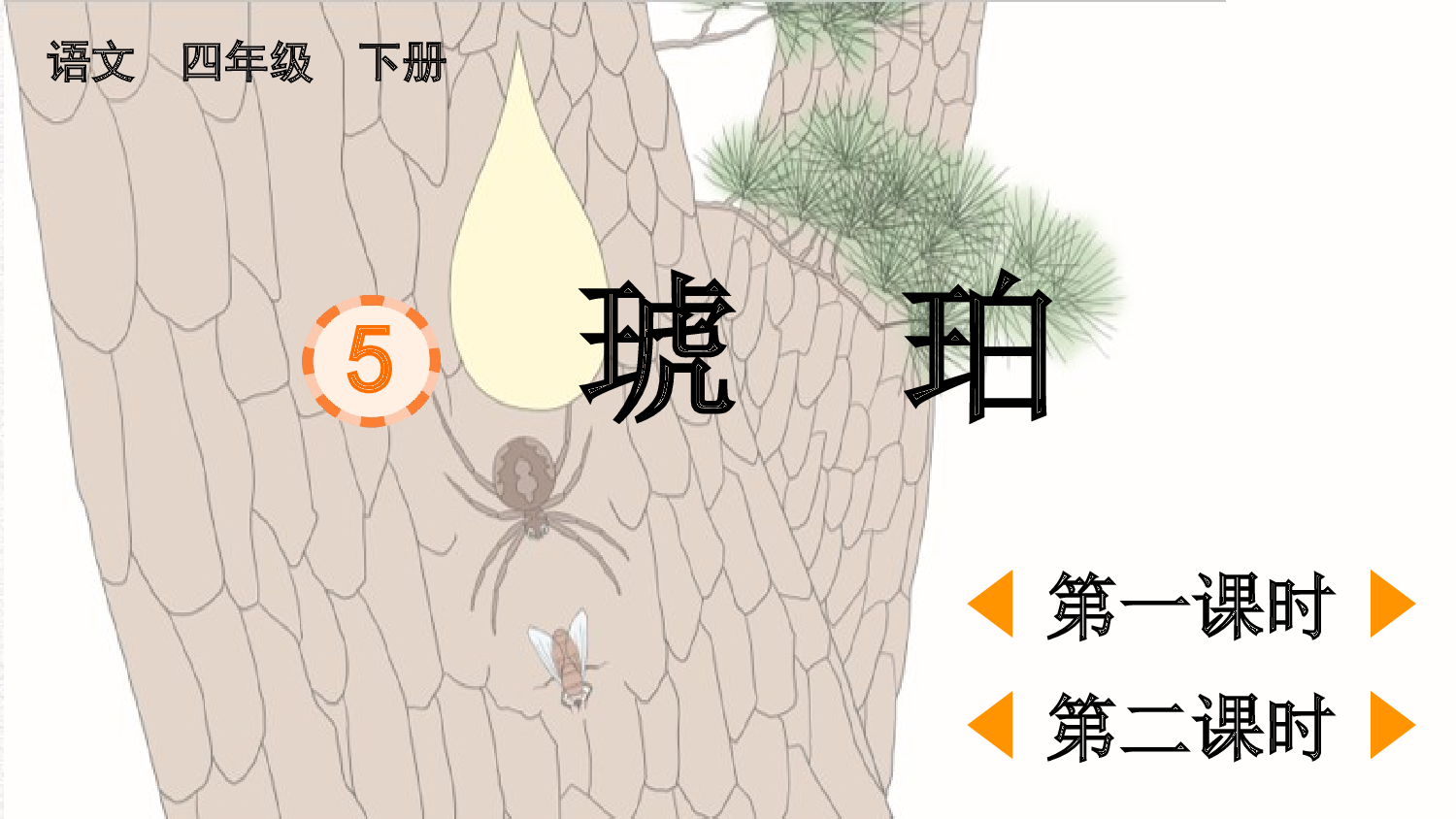 5 琥珀【优质版】.pptx 第2页