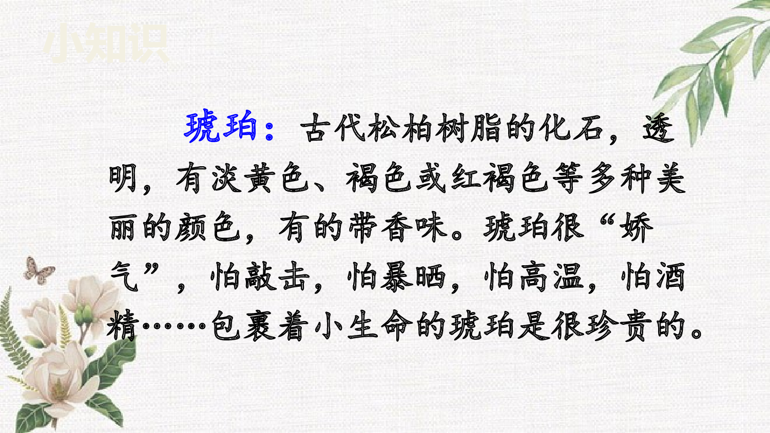 5 琥珀【优质版】.pptx 第7页