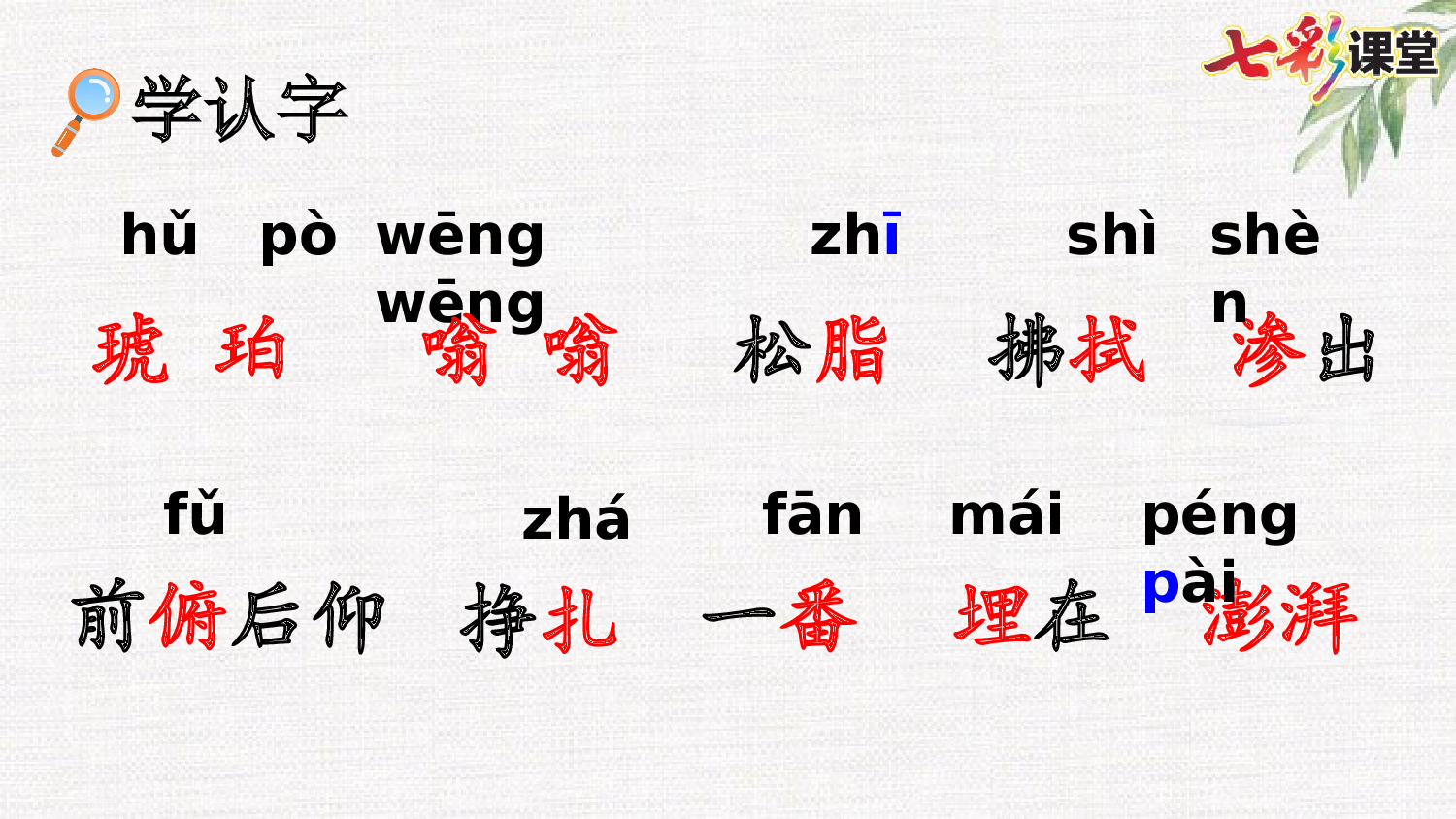 5 琥珀【优质版】.pptx 第5页