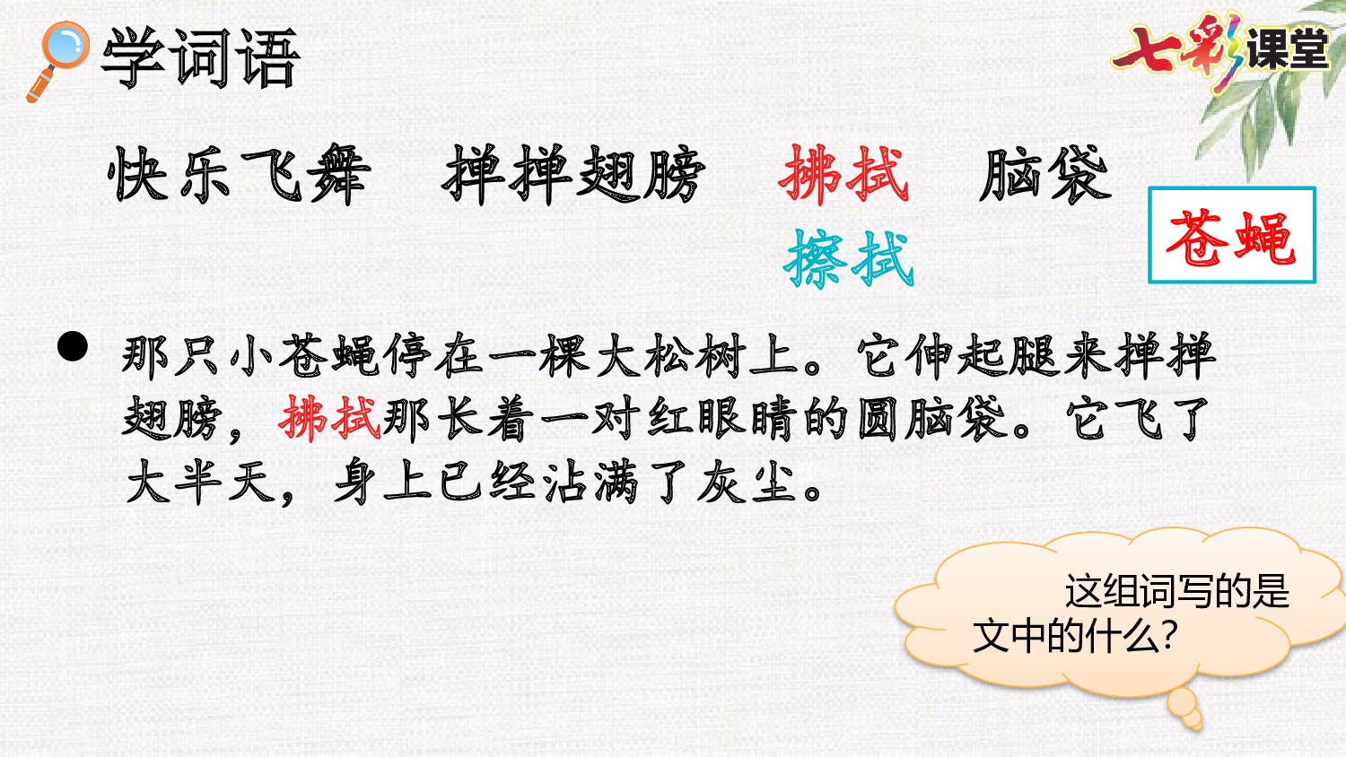 5 琥珀【精华版】.pptx 第10页