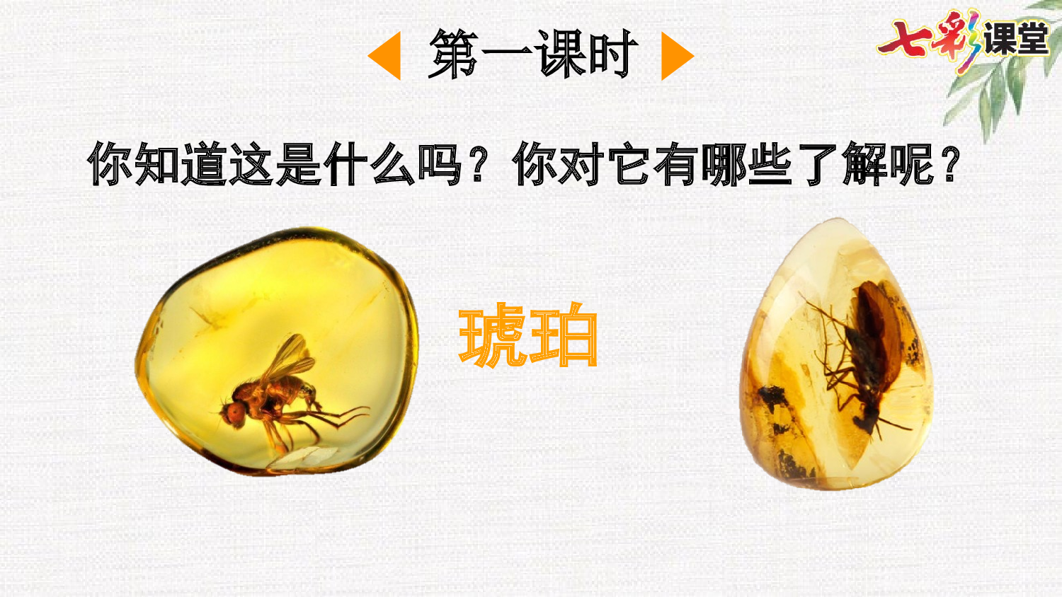 5 琥珀【精华版】.pptx 第3页