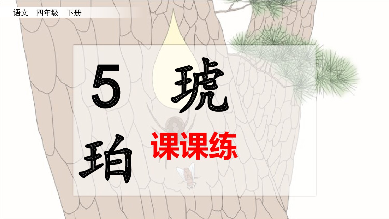 5 琥珀（课课练）.pptx 第1页