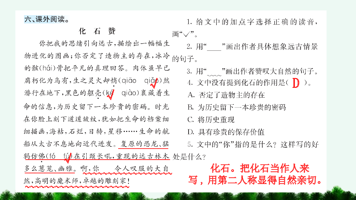 5 琥珀（课课练）.pptx 第7页