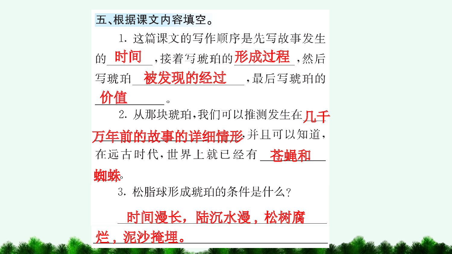 5 琥珀（课课练）.pptx 第6页