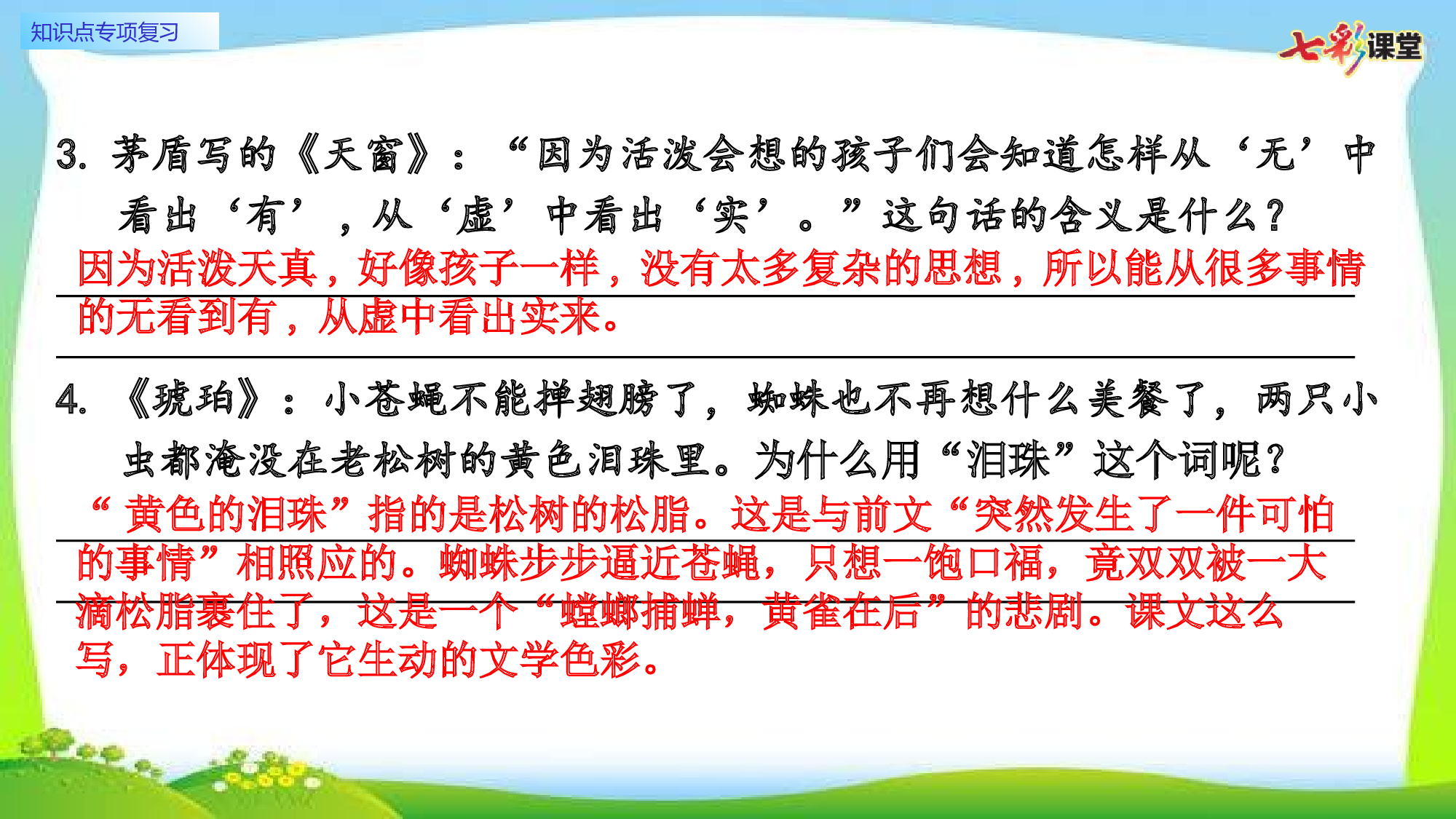 6.知识点专项复习.pptx 第8页