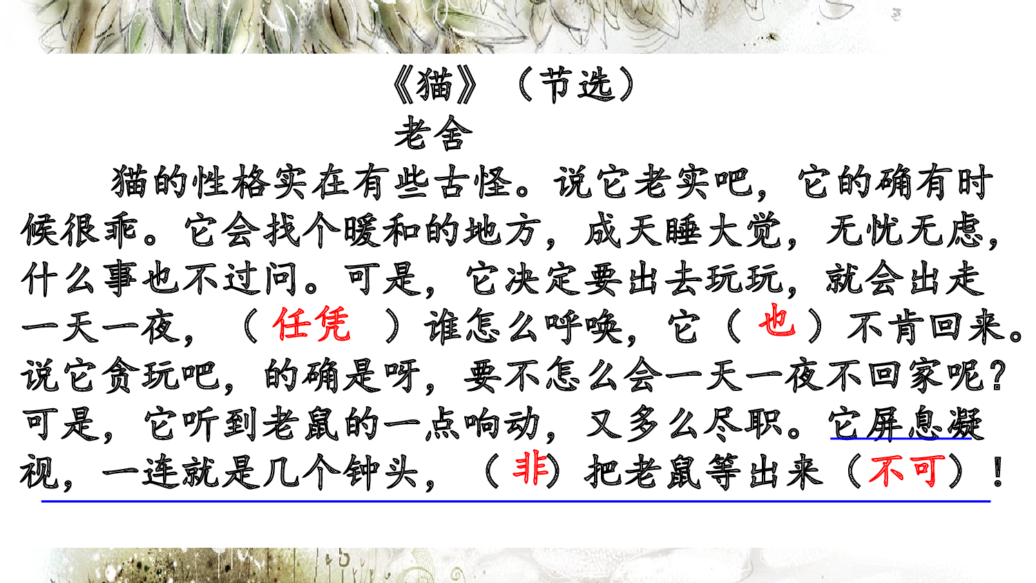 7.阅读指导专项复习.pptx 第6页