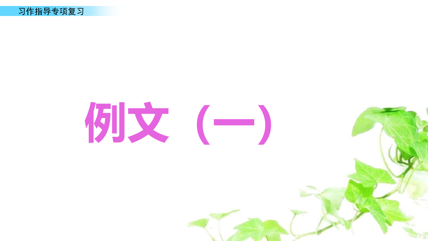 9.习作指导专项复习.pptx 第9页