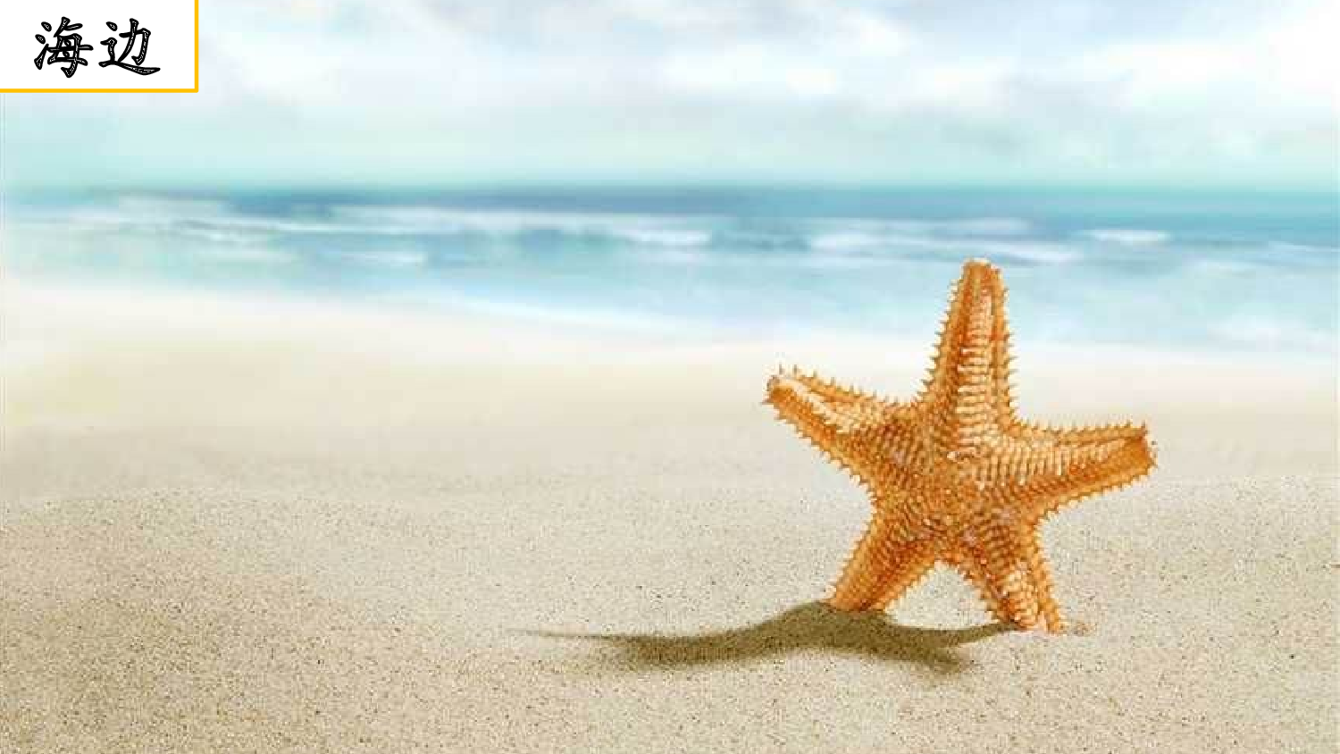 习作：我的乐园【优质版】.pptx 第5页