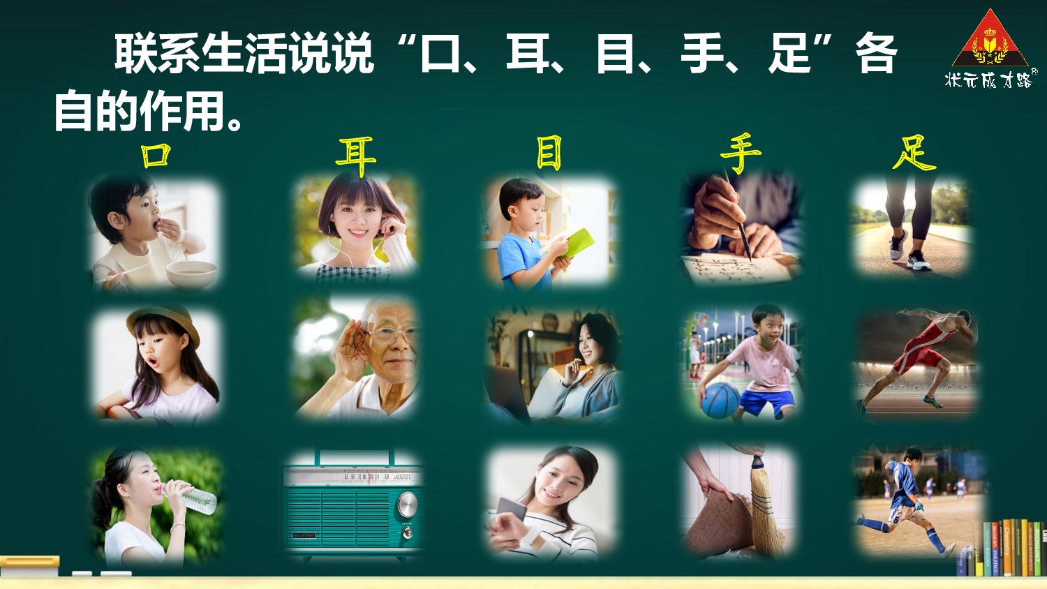 3 口耳目手足【精华版】.pptx 第8页