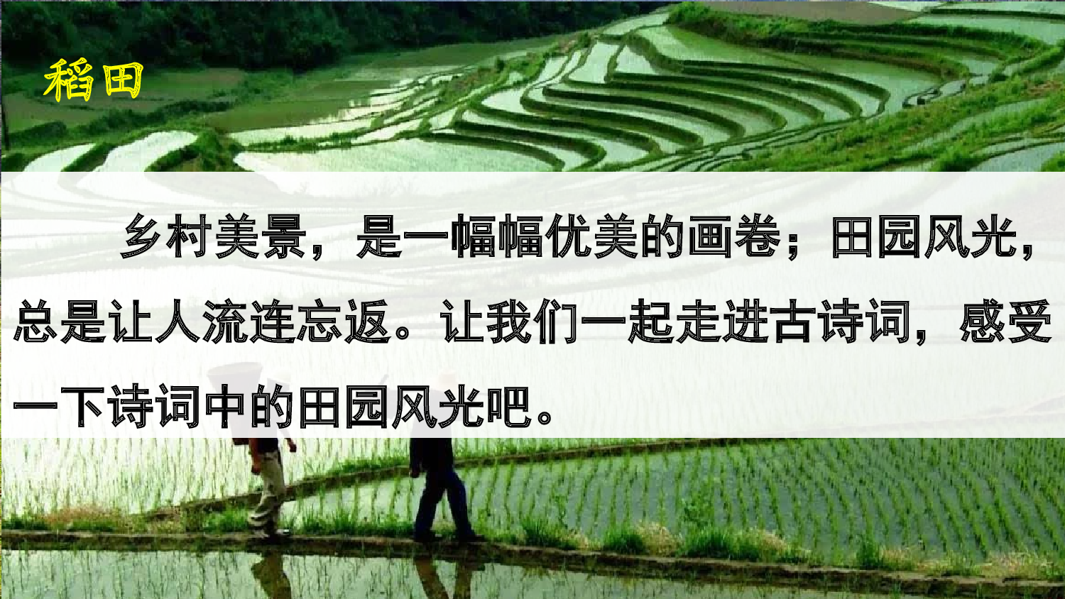 1 古诗词三首【精华版】.pptx 第3页