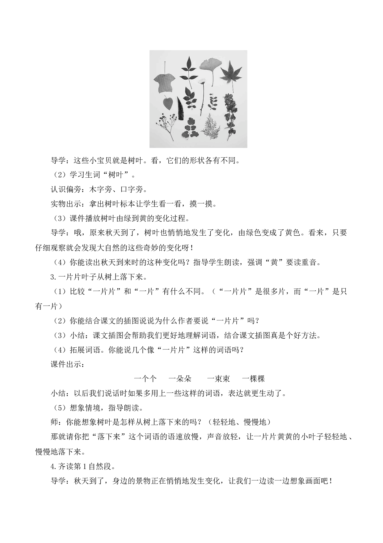 1 秋天【慕课堂版教案】.docx 第5页