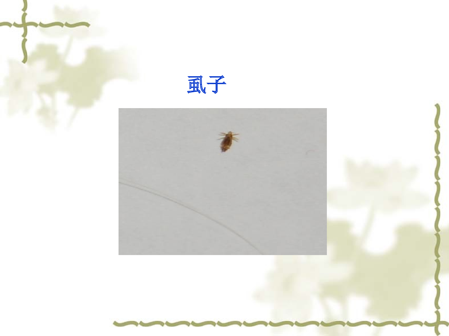 《纪昌学射》PPT.ppt 第9页