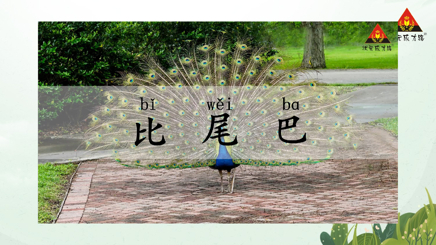 8 比尾巴 第一课时【慕课堂版】.pptx 第8页