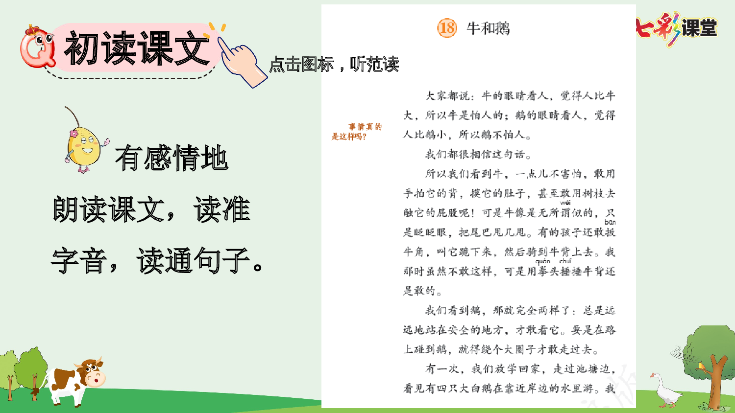 18 牛和鹅【优质版】.pptx 第5页