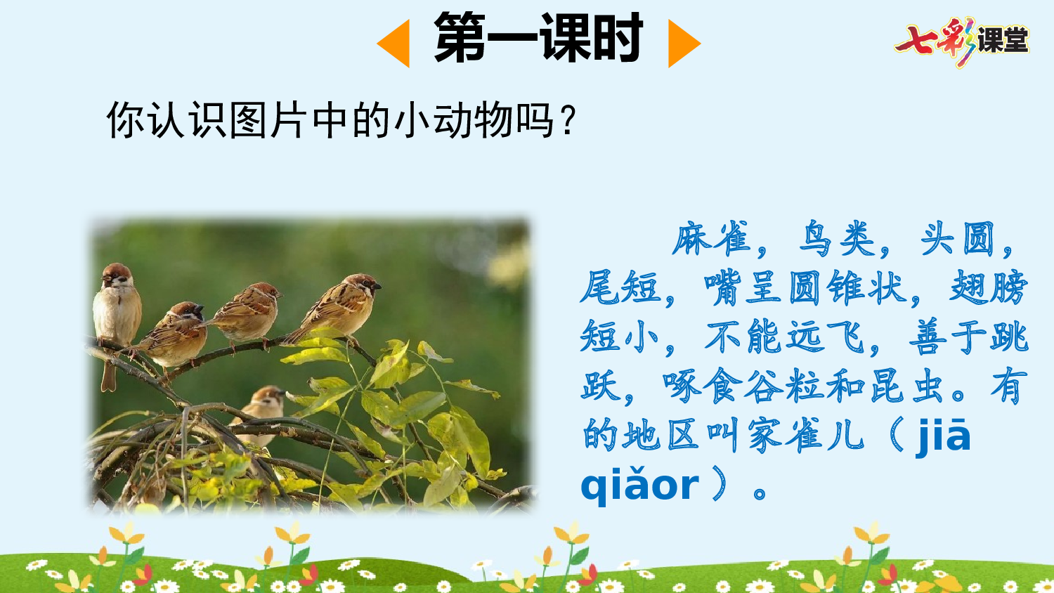 16 麻雀【优质版】.pptx 第3页