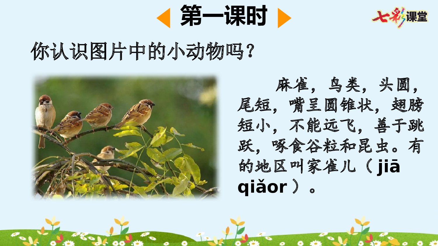 16 麻雀【精华版】.pptx 第3页