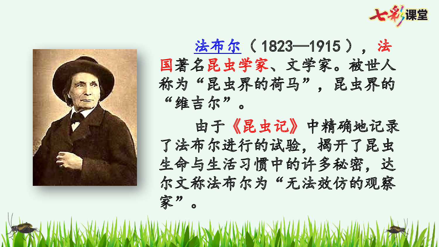 11 蟋蟀的住宅【优质版】.pptx 第5页