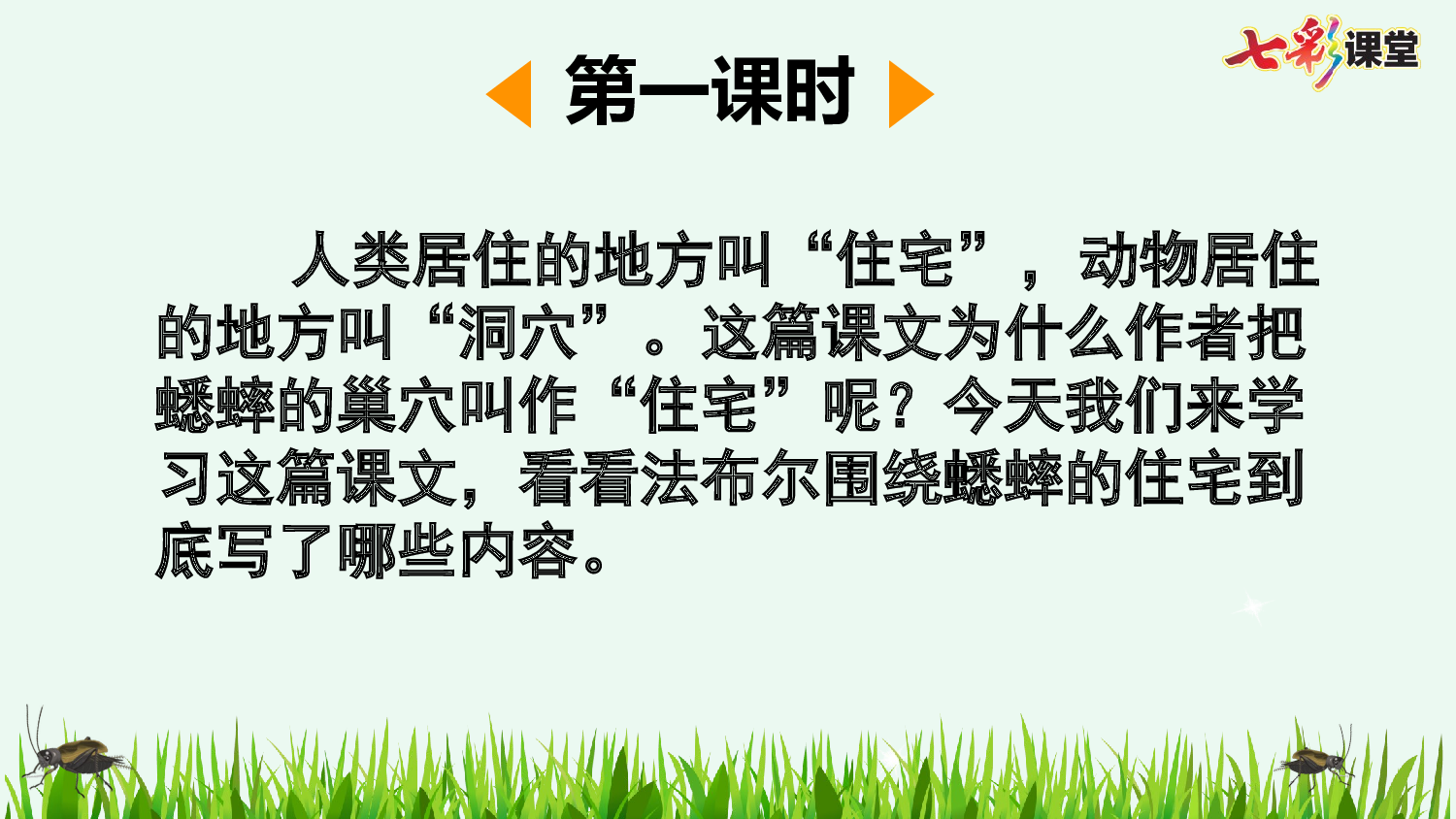 11 蟋蟀的住宅【优质版】.pptx 第3页