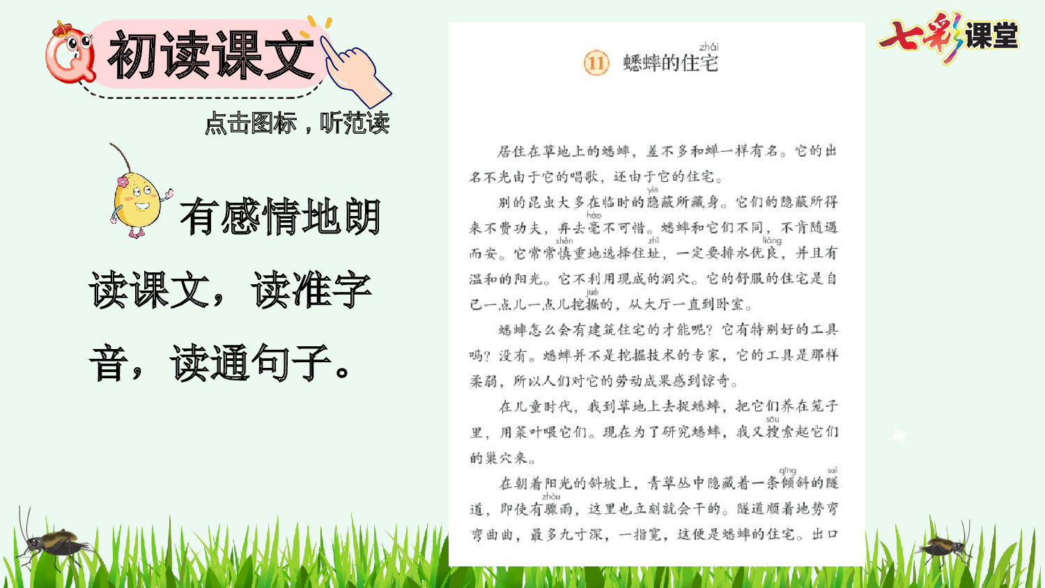 11 蟋蟀的住宅【优质版】.pptx 第6页