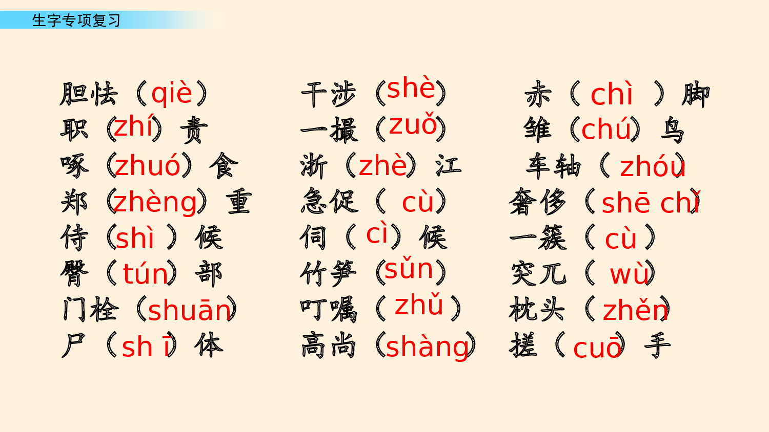 生字专项复习.pptx 第3页