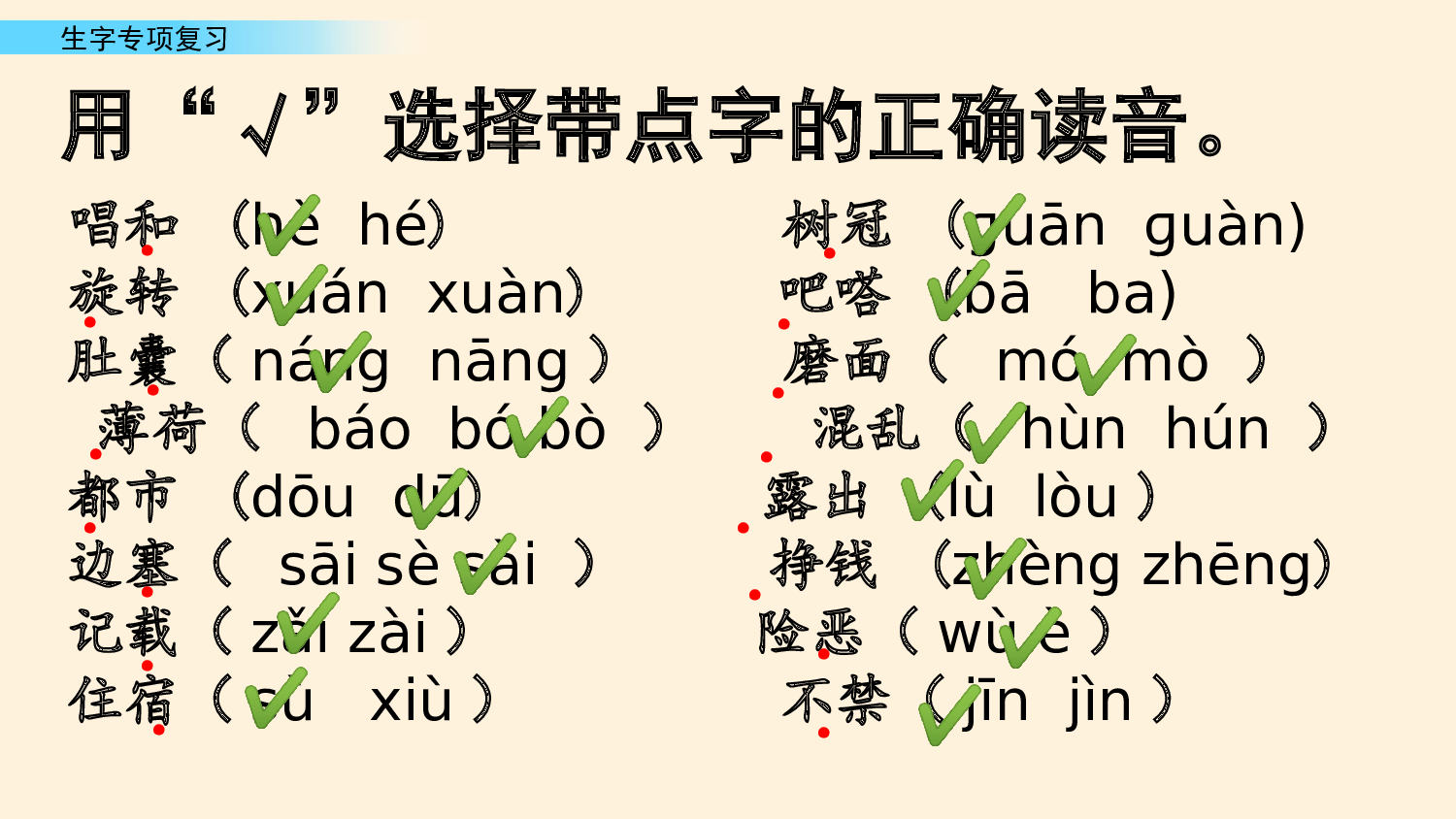 生字专项复习.pptx 第10页