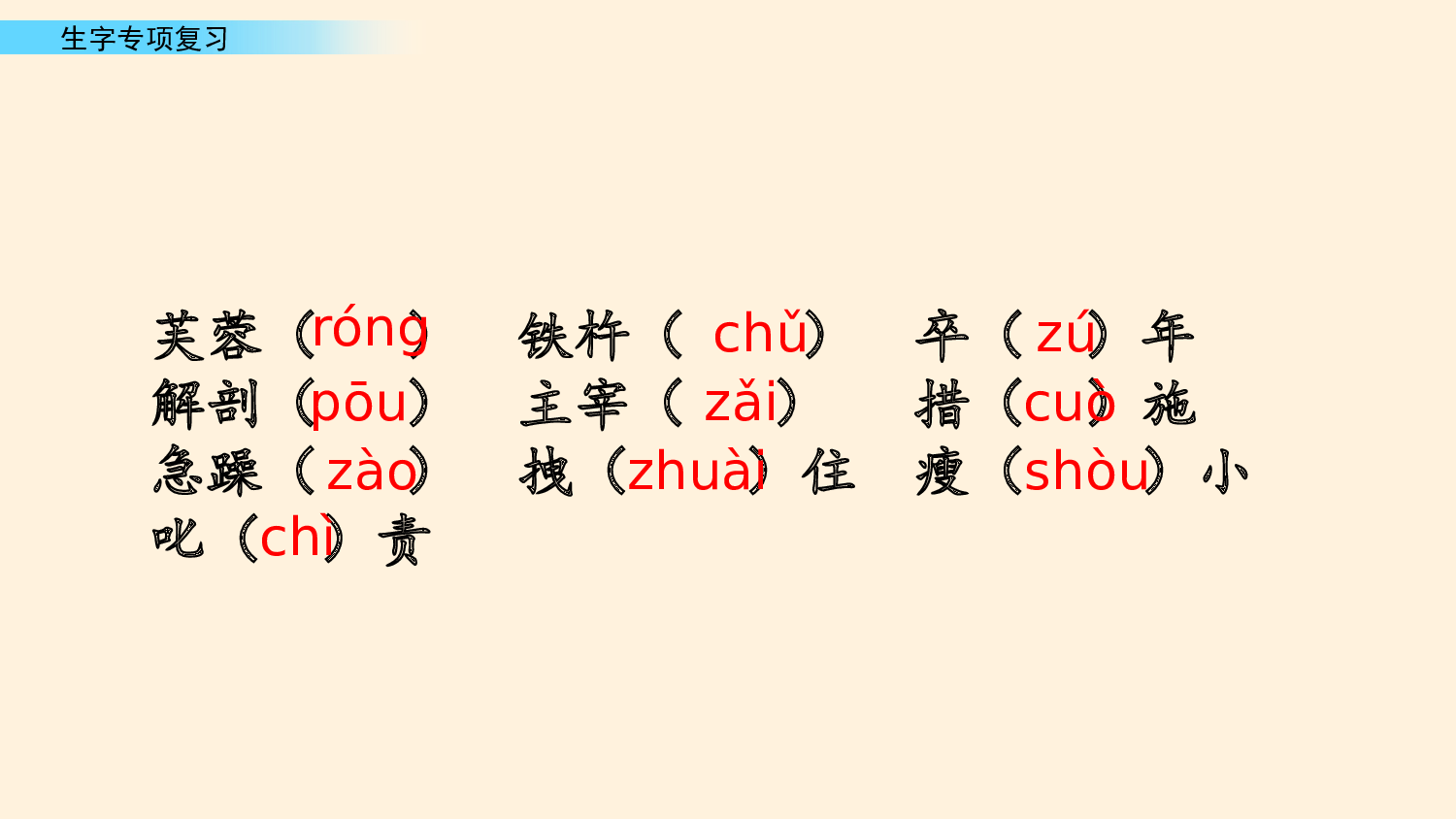 生字专项复习.pptx 第4页
