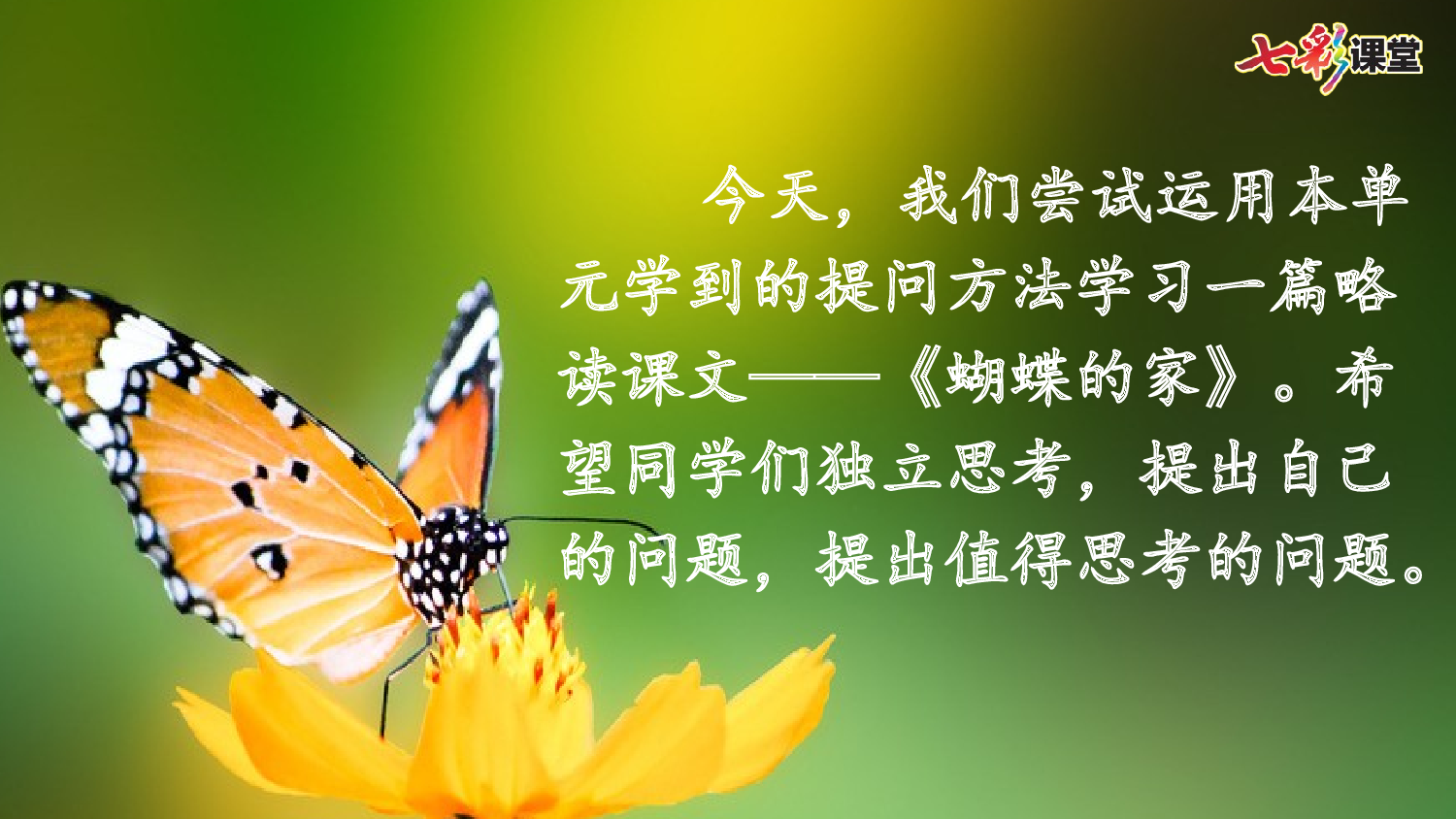 8 蝴蝶的家【精华版】.pptx 第3页