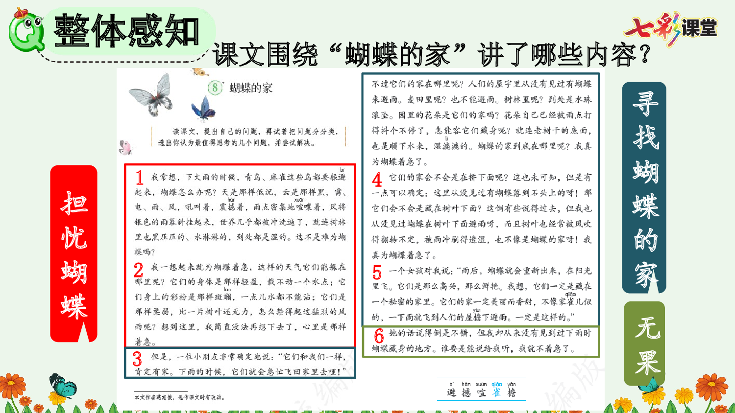 8 蝴蝶的家【精华版】.pptx 第5页