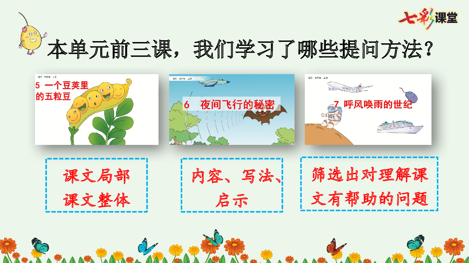 8 蝴蝶的家【精华版】.pptx 第7页