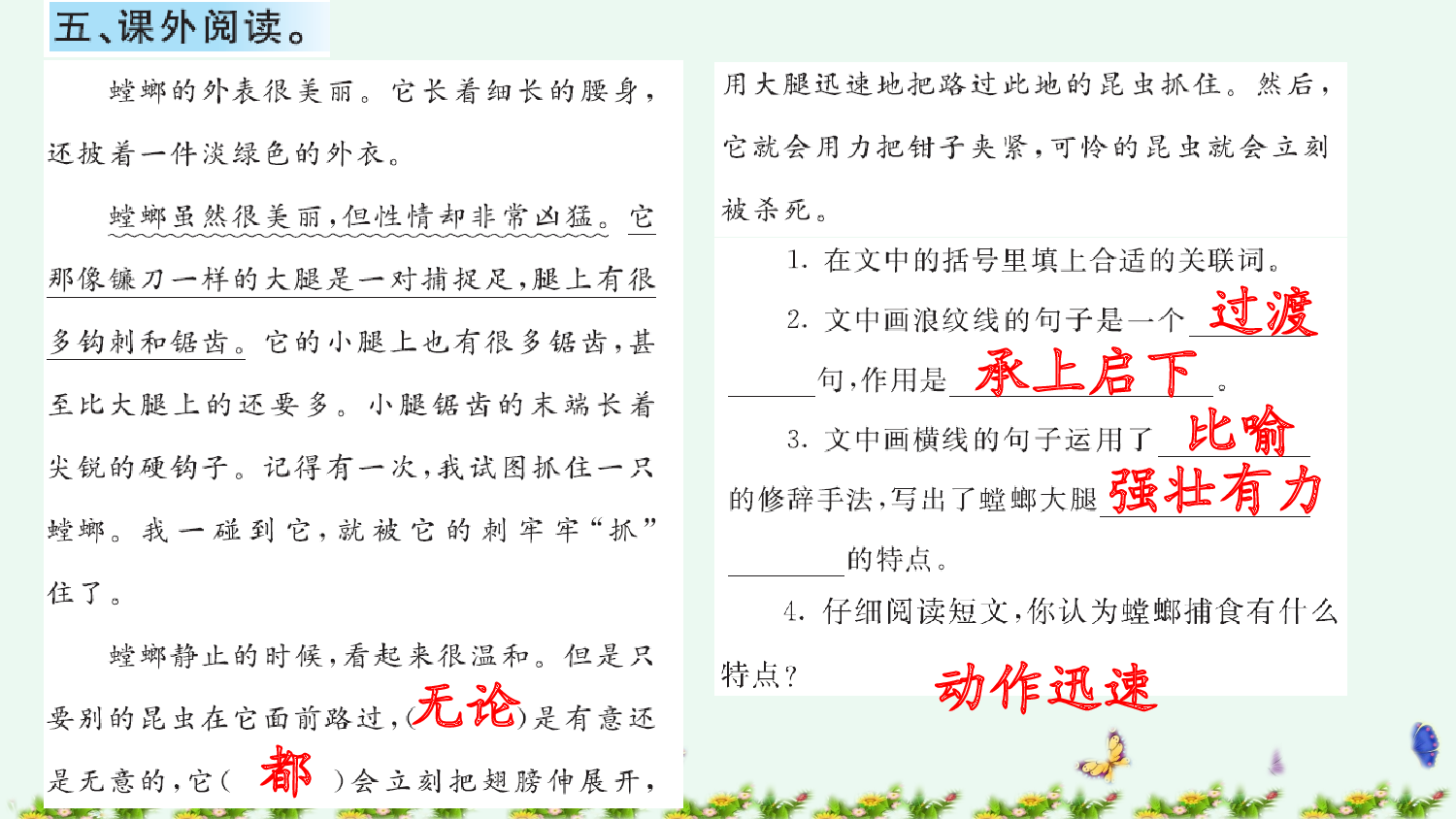 8 蝴蝶的家 课课练.pptx 第6页