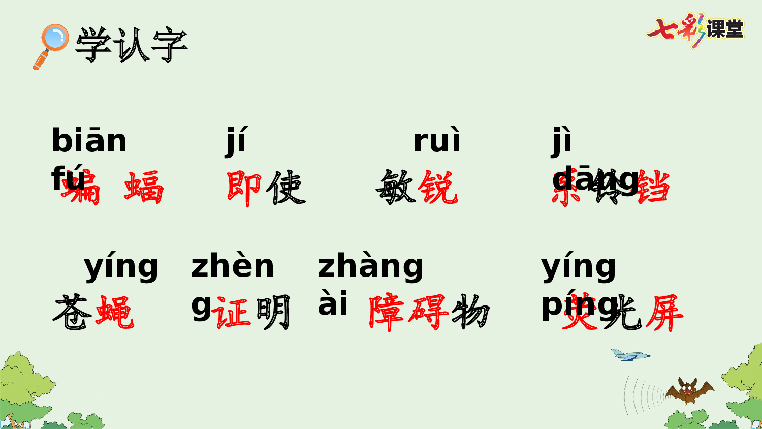 6 夜间飞行的秘密【优质版】.pptx 第5页