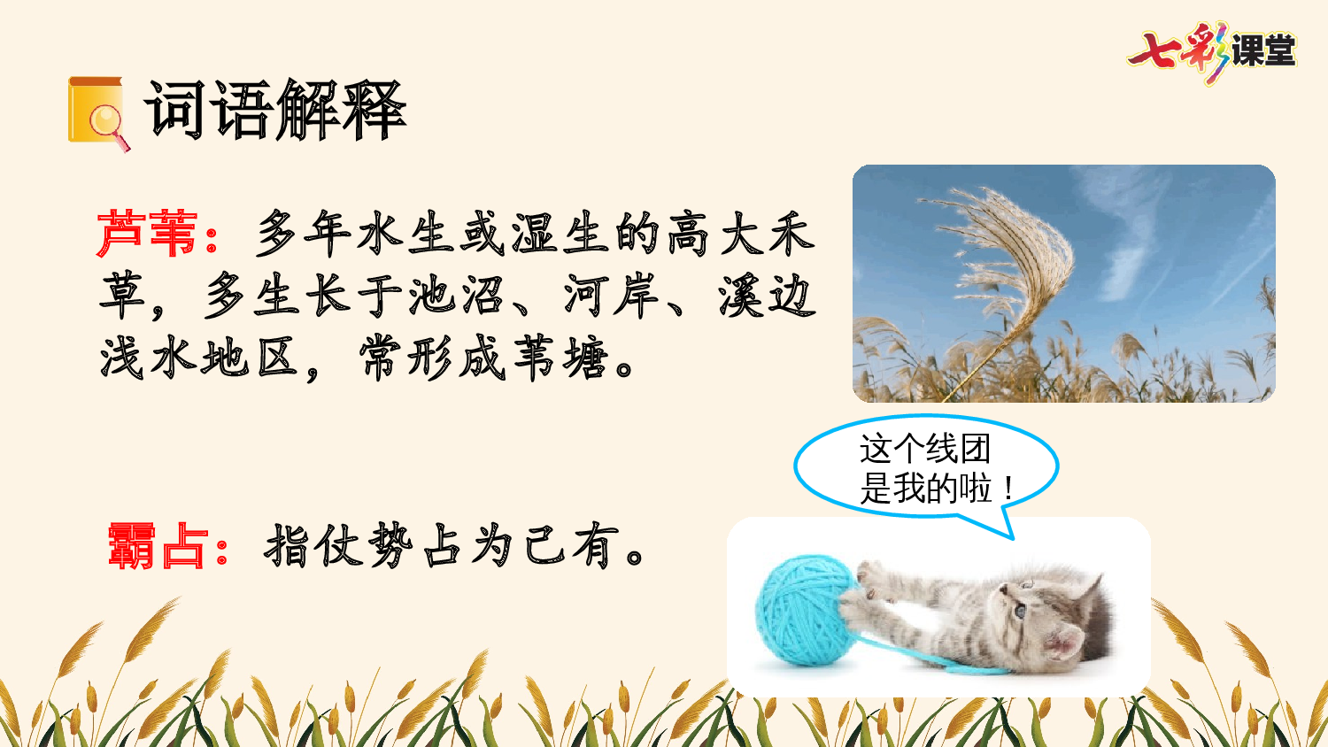 3 现代诗二首【优质版】.pptx 第7页