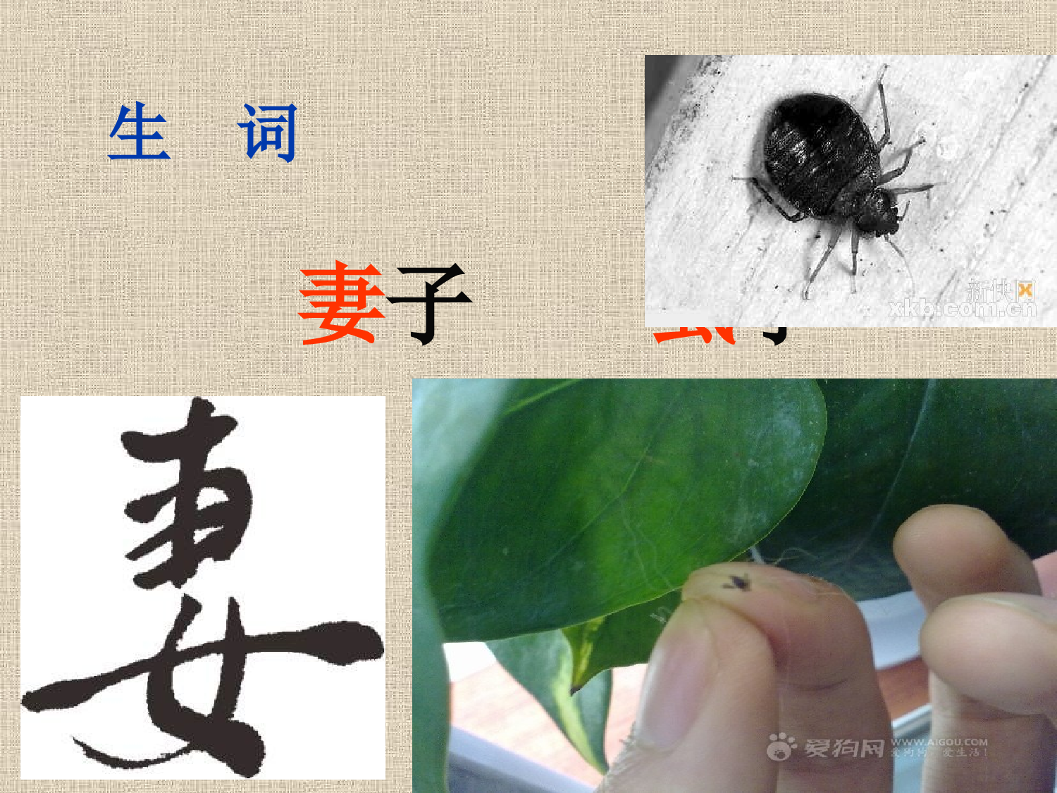 纪昌学射课件.ppt 第2页