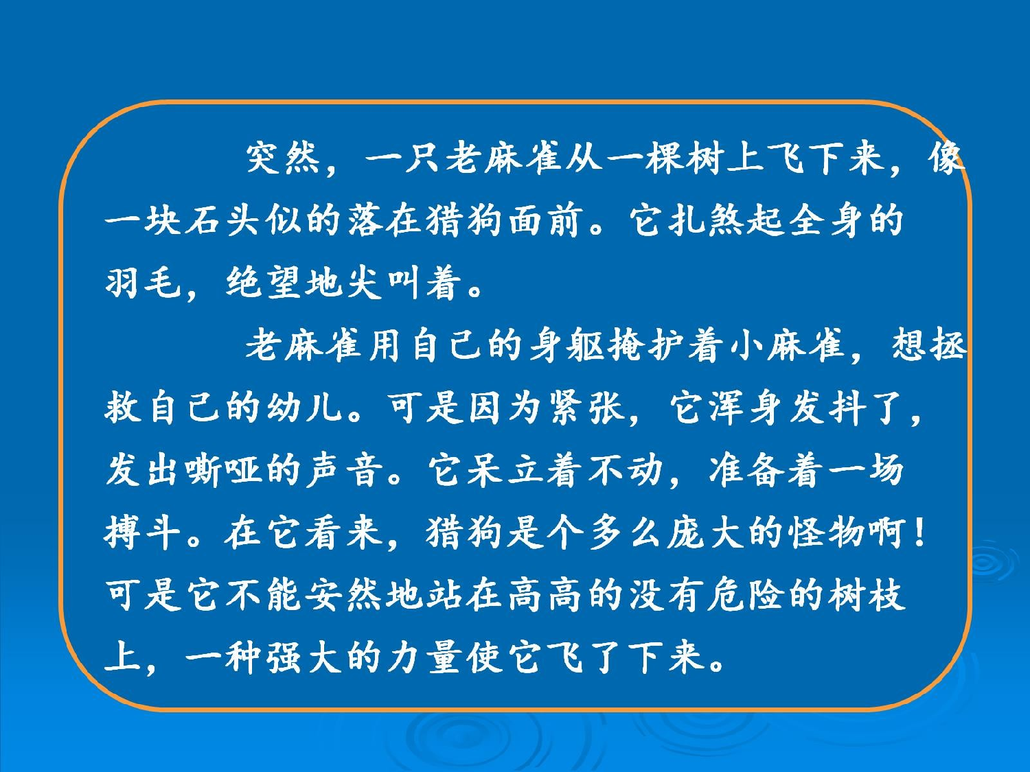 麻雀 第一课时.pptx 第6页