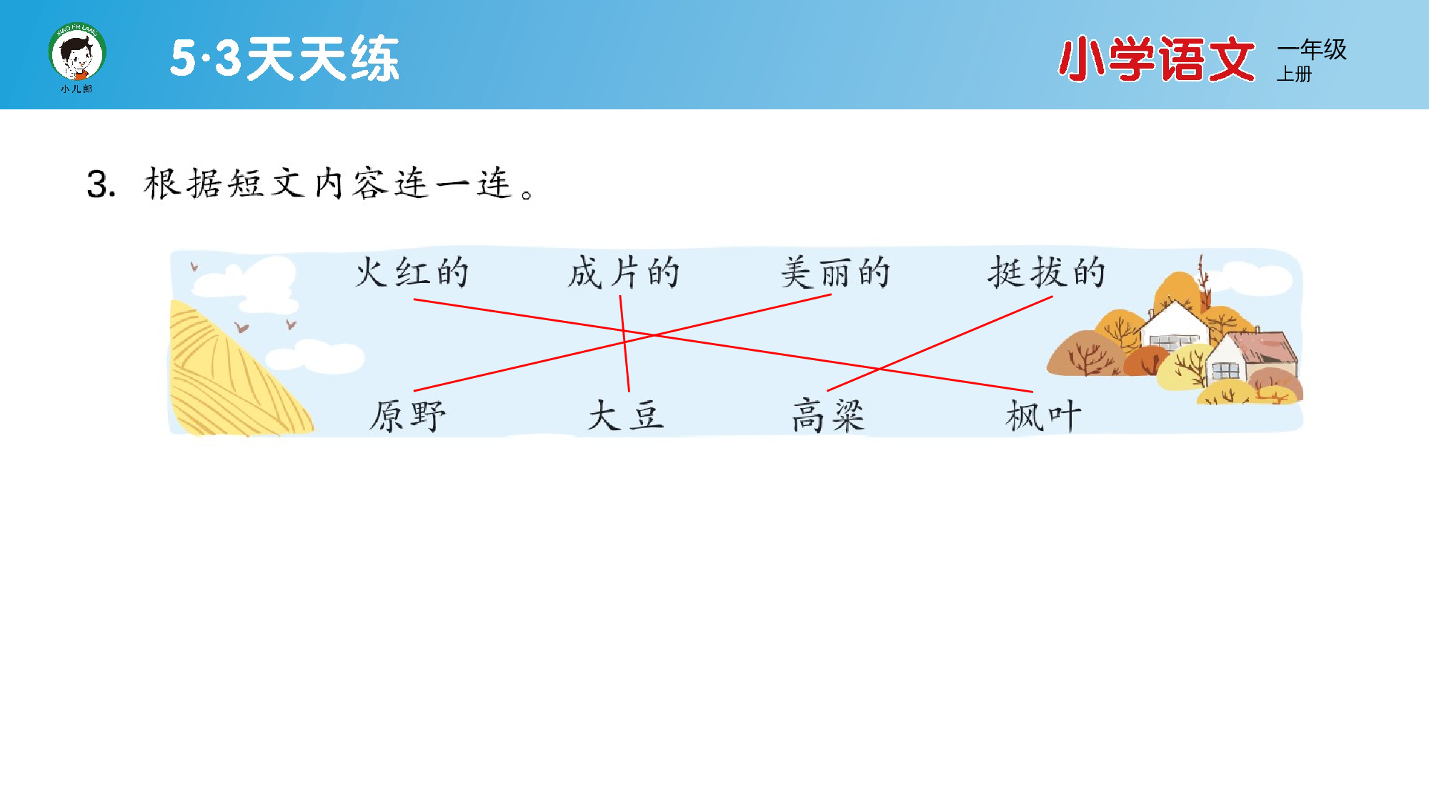 阅读素养练习（五）.pptx 第5页