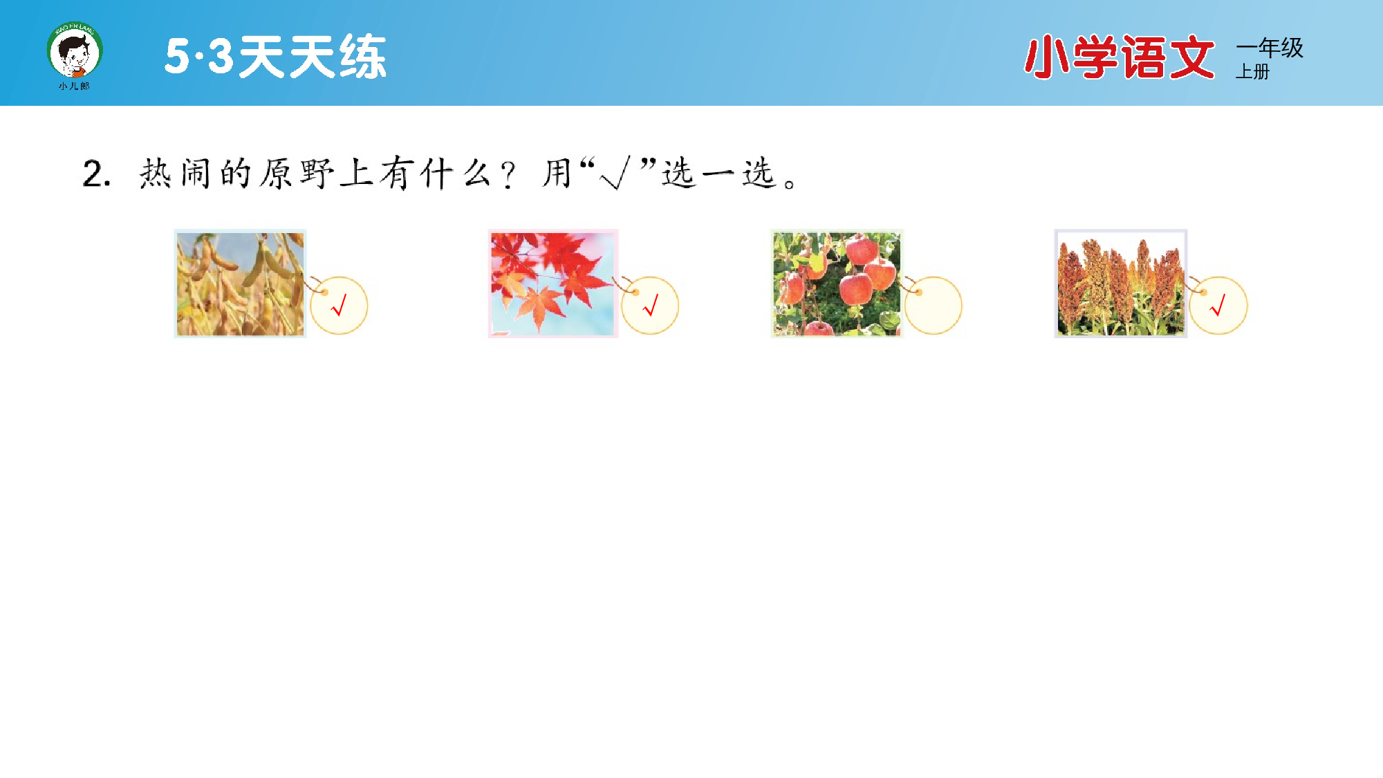 阅读素养练习（五）.pptx 第4页