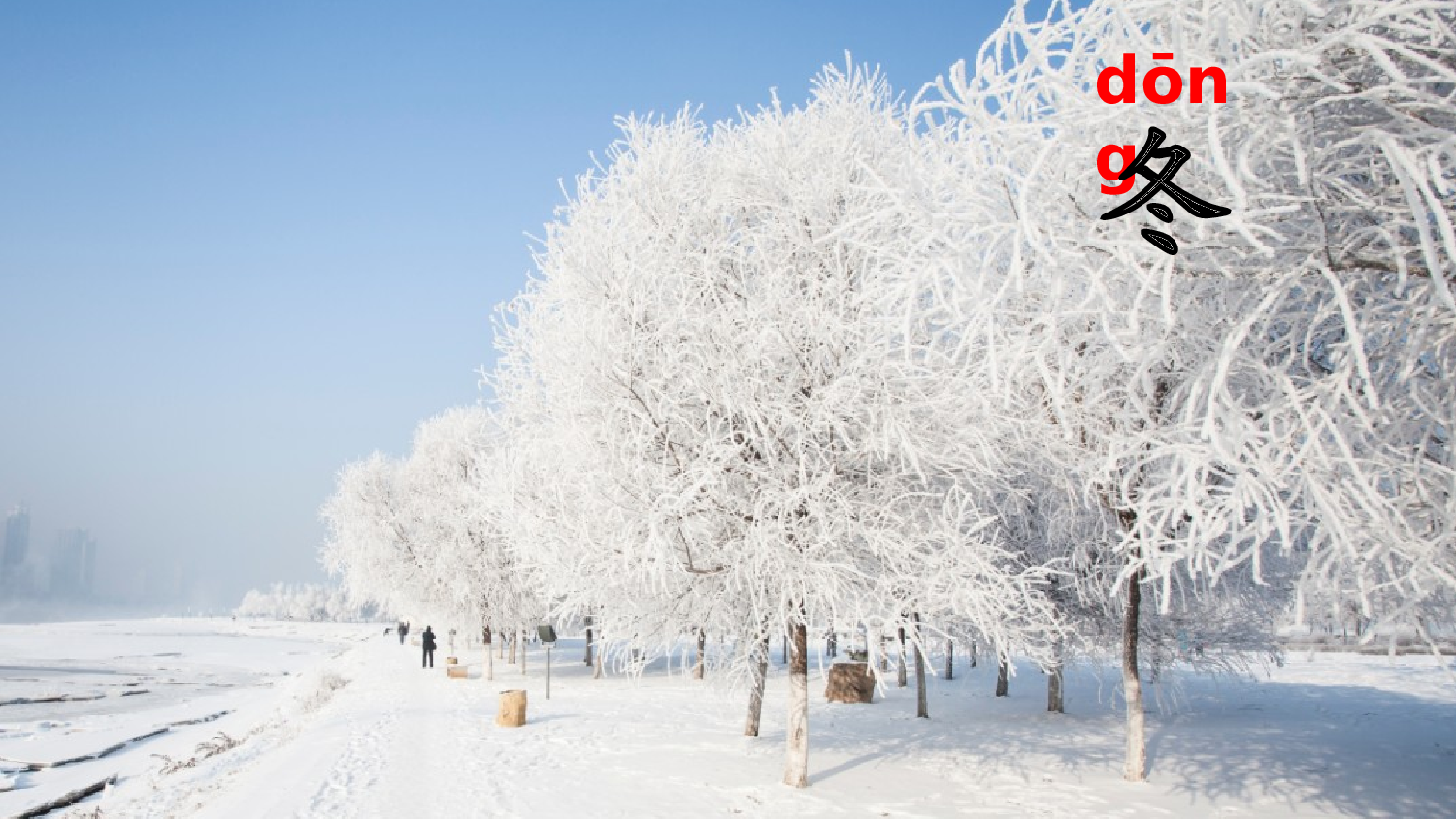 4 四季【优质版】.pptx 第3页