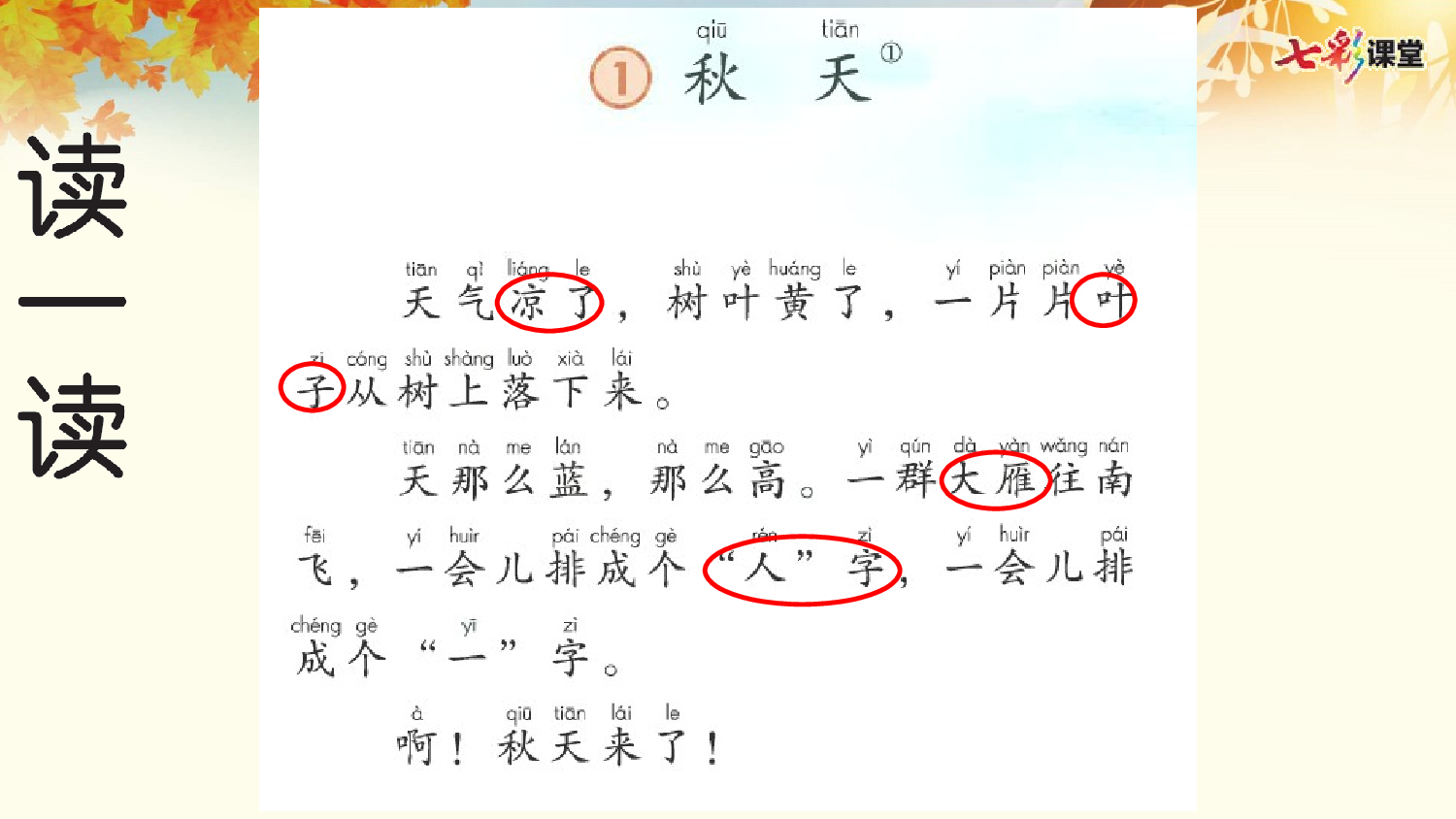 1 秋天 预习卡.pptx 第4页