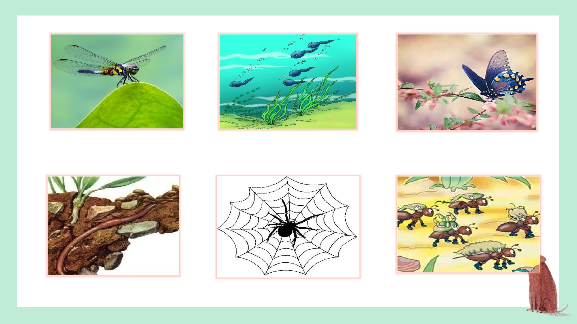 第五单元  02《动物儿歌》的趣味探索（教学课件）-（统编版.2024）.pptx 第4页