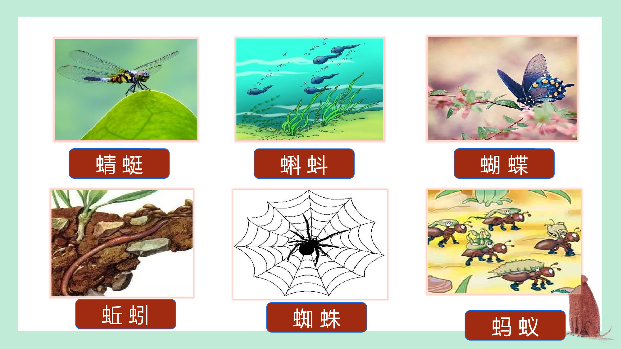 第五单元  02《动物儿歌》的趣味探索（教学课件）-（统编版.2024）.pptx 第5页