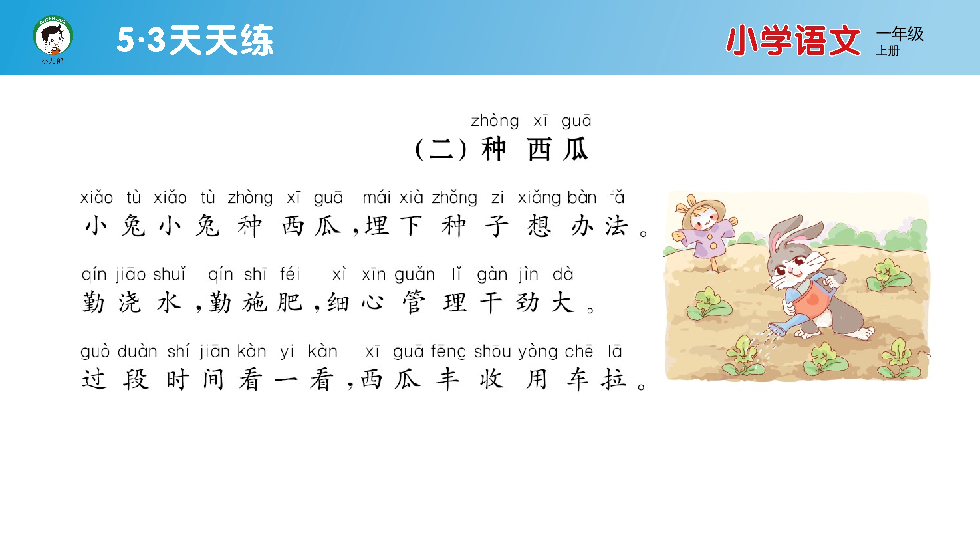 阅读素养练习（三）.pptx 第5页