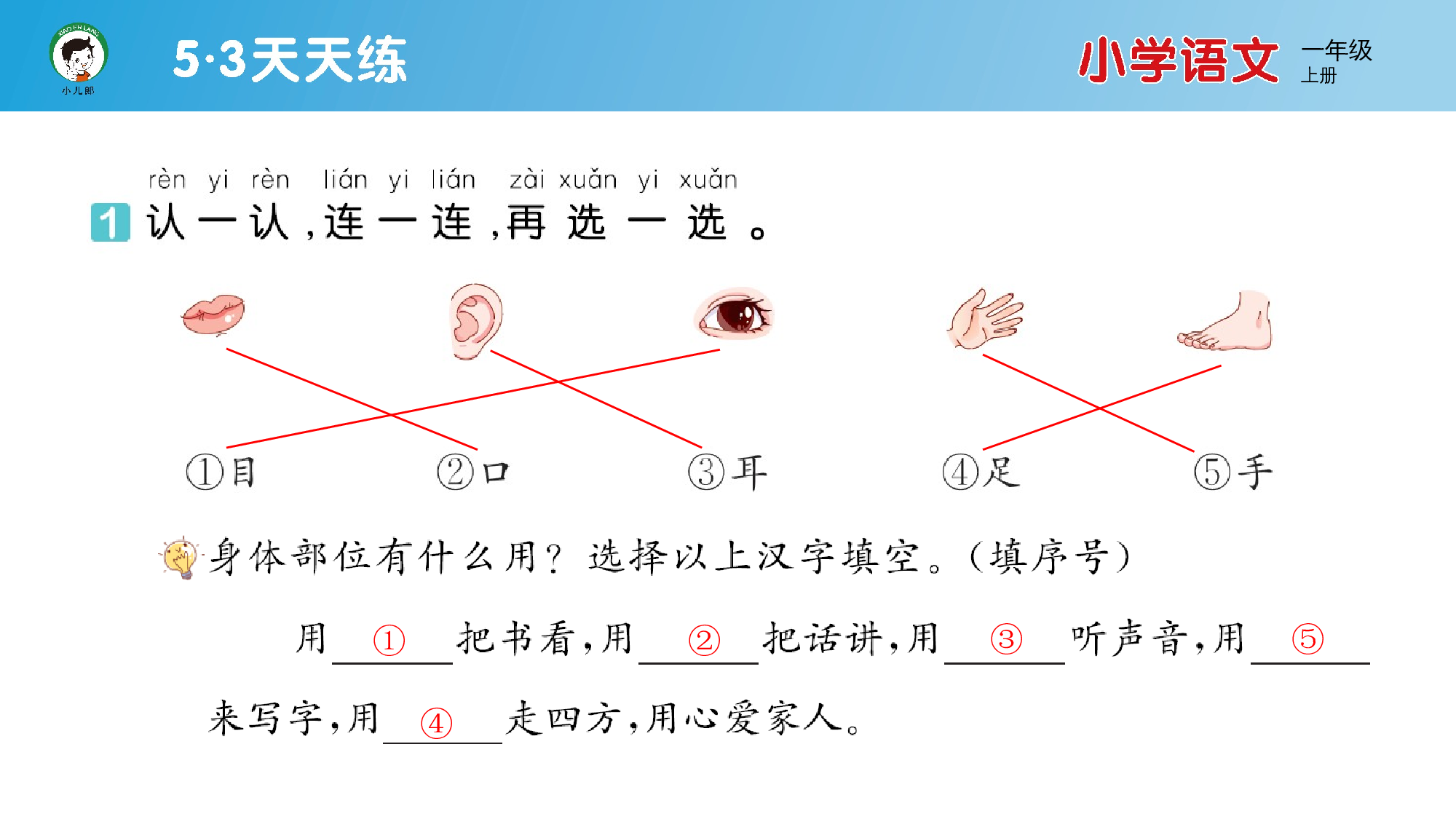 3 口耳目手足.pptx 第2页