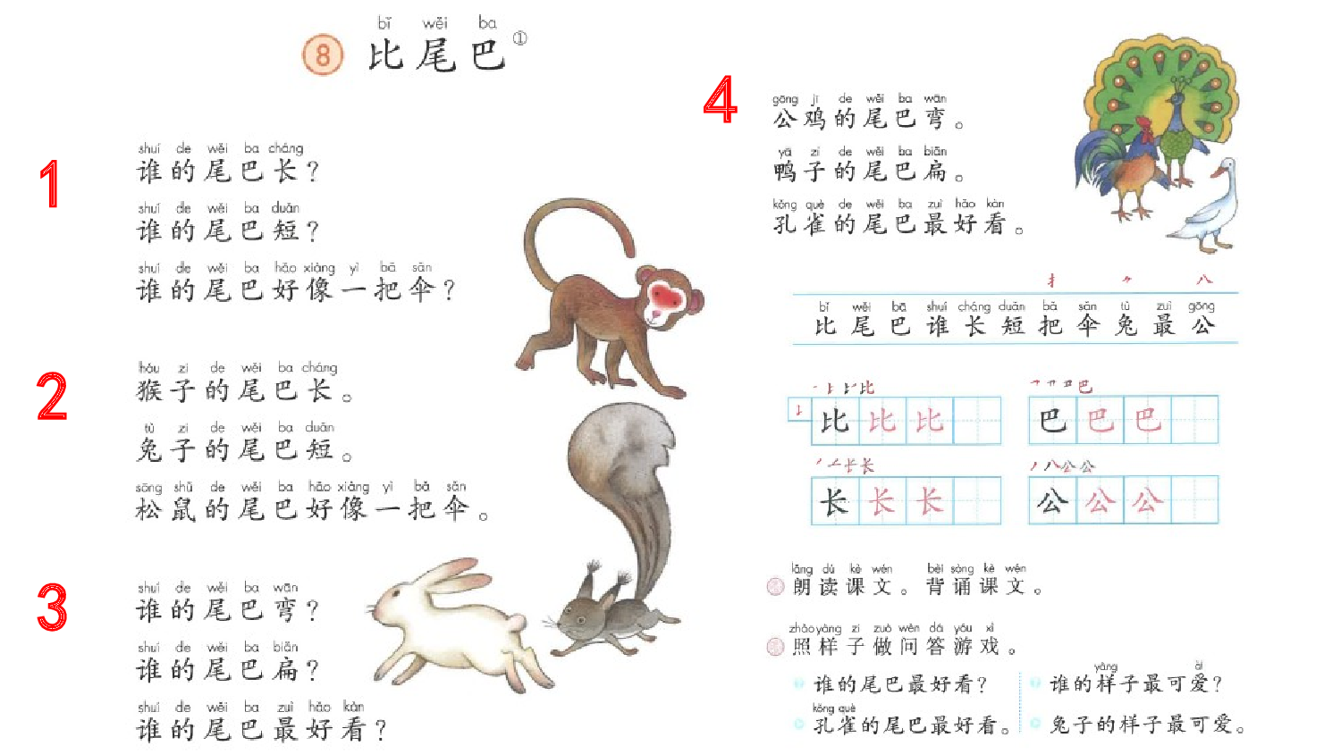 8 比尾巴【优质版】.pptx 第7页