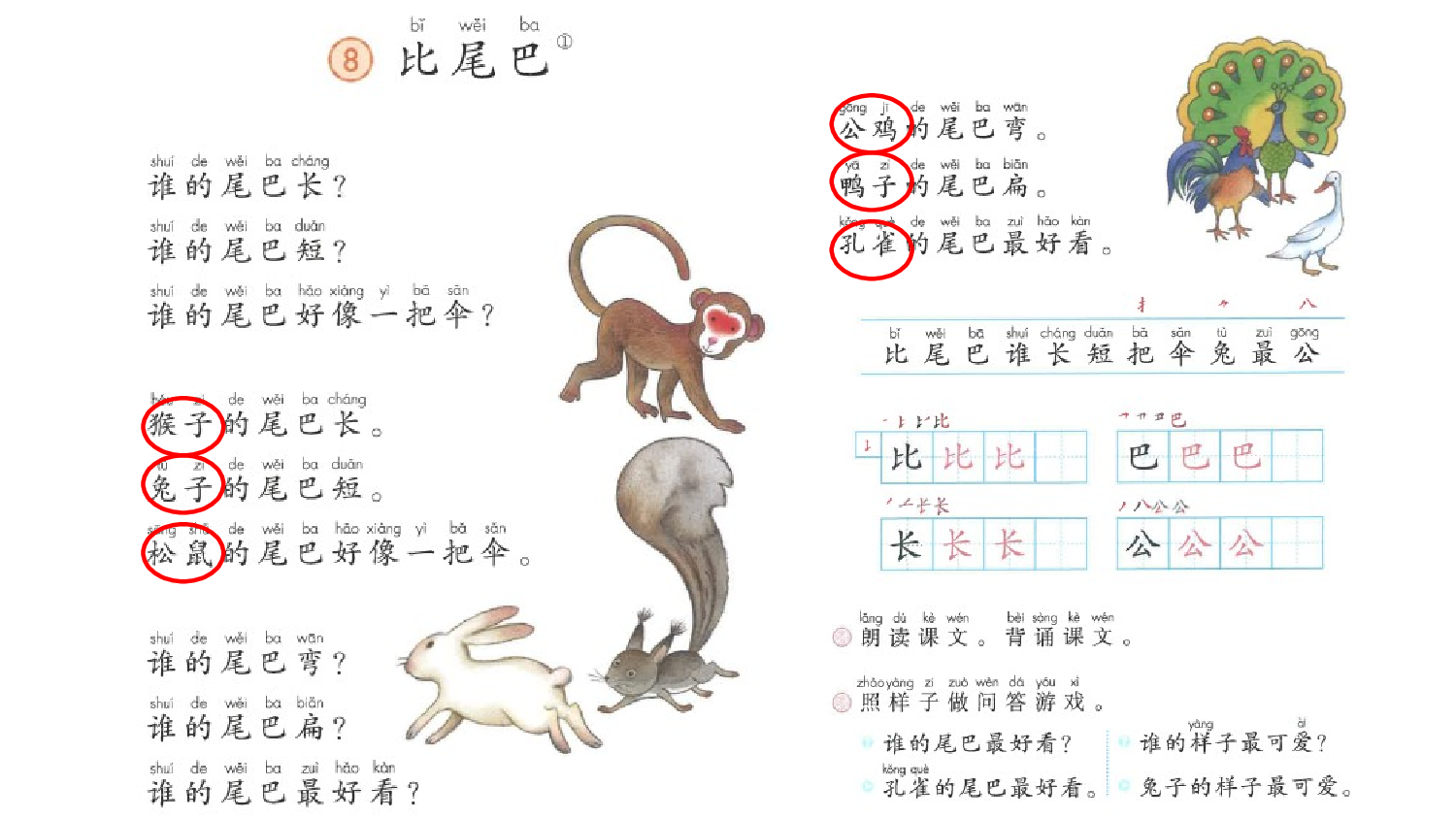 8 比尾巴【优质版】.pptx 第9页