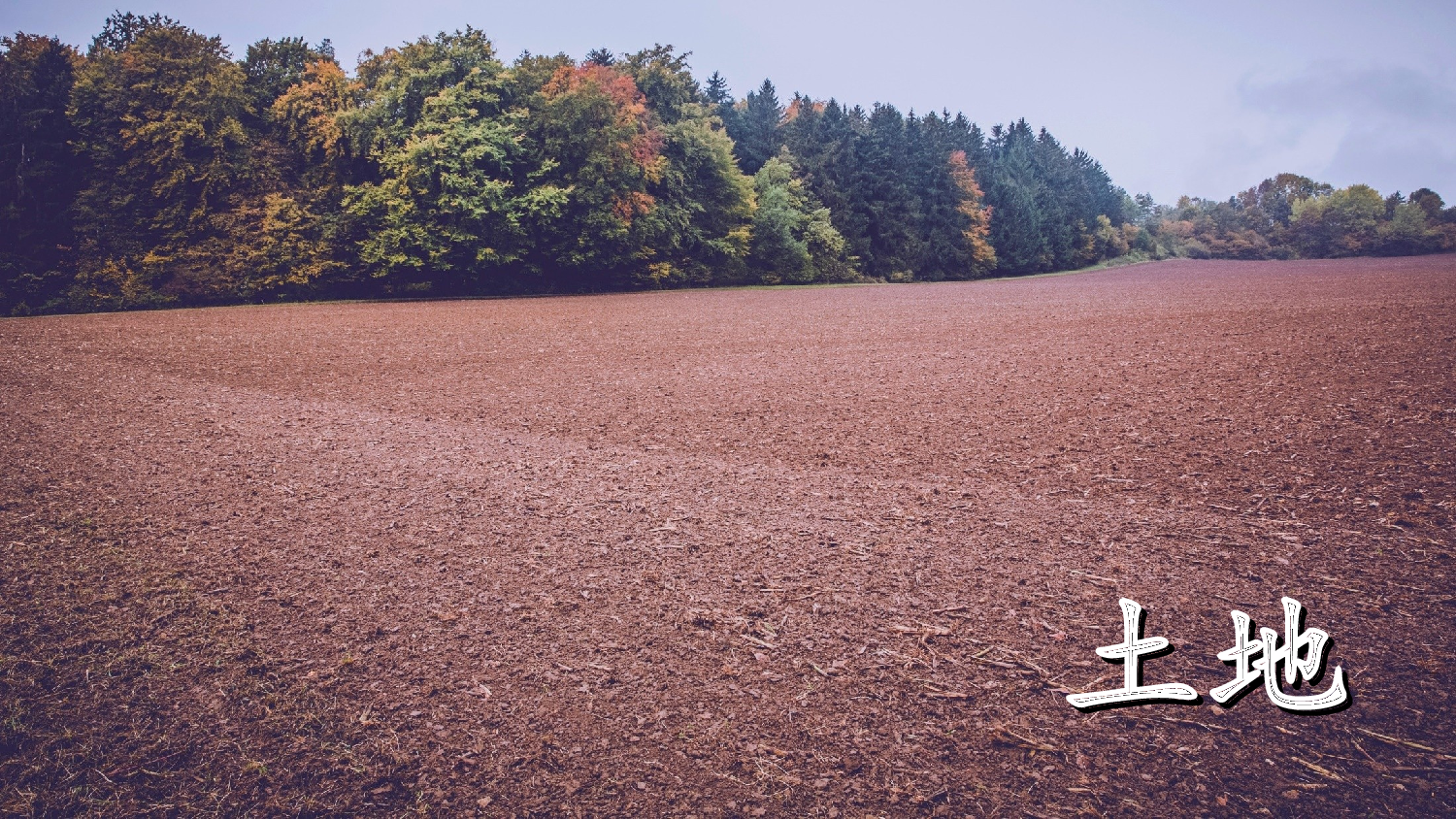 识字1 天地人（课件）.ppt 第10页